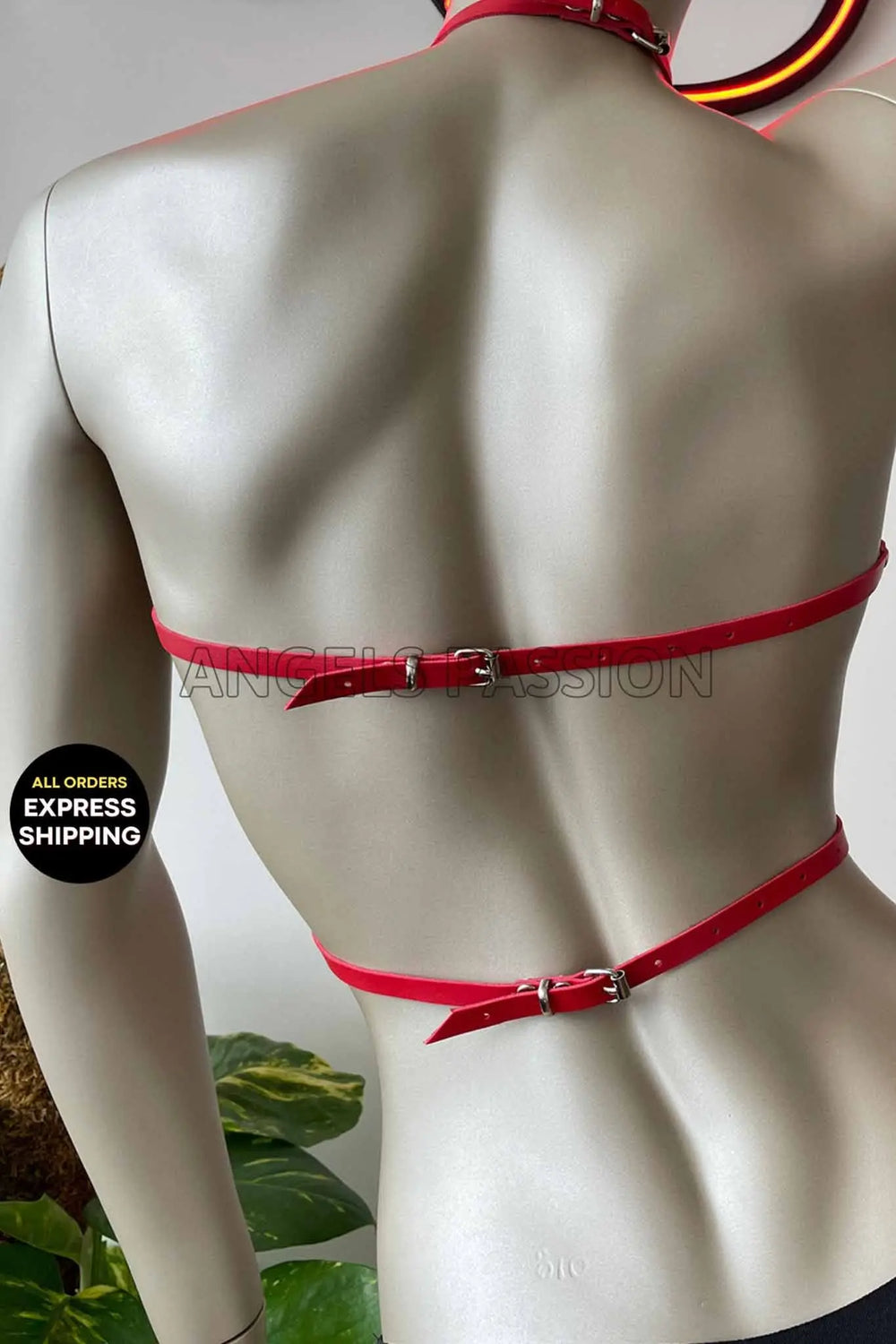 Sexy Open Cup Harness - DomizilNoir