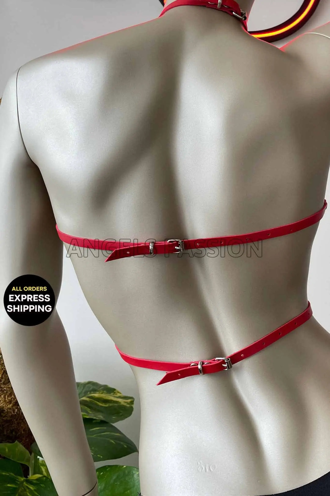 Sexy Open Cup Harness - DomizilNoir