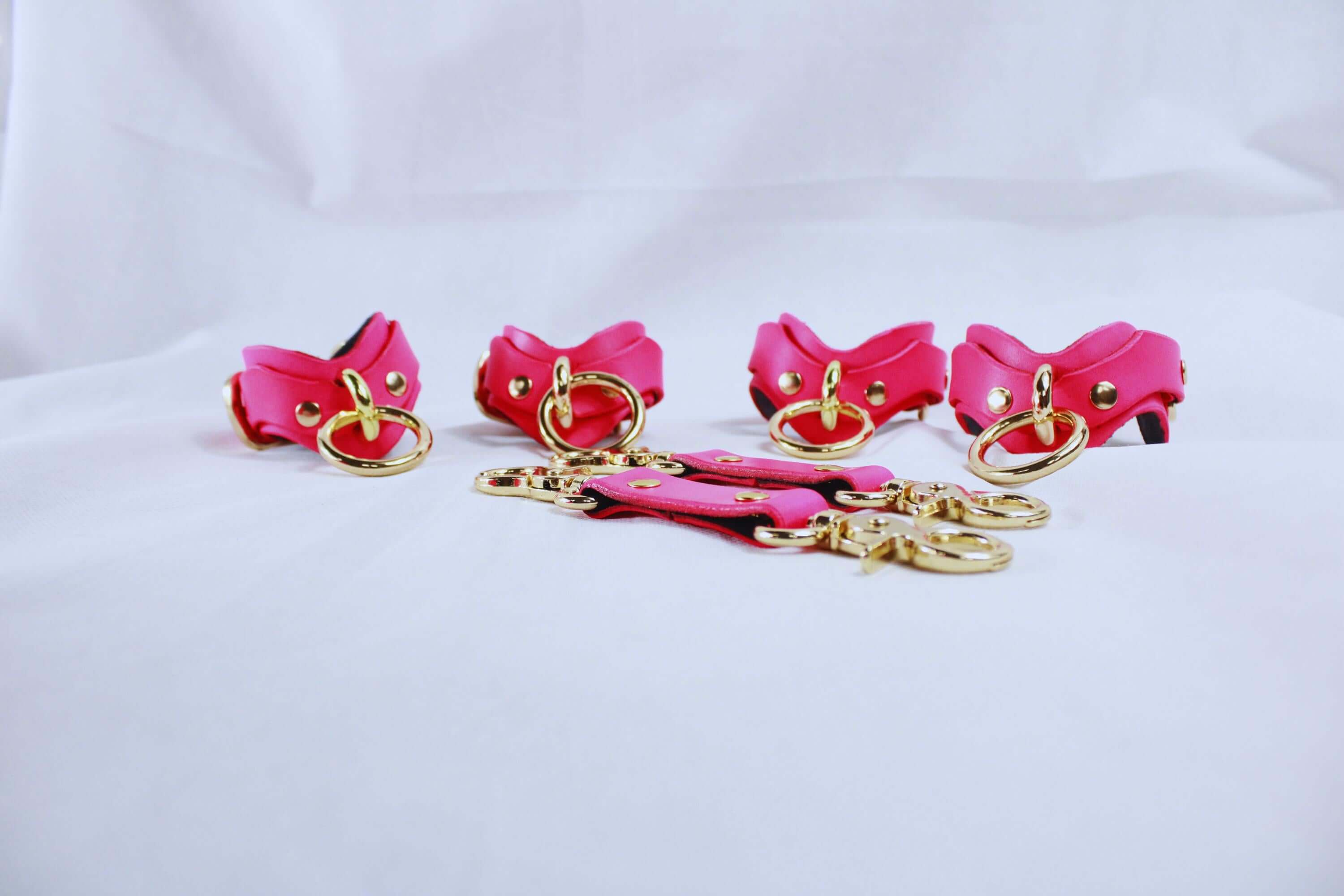 BDSM Gear Pink Leather | Premium BDSM Bondage Gear Set-4