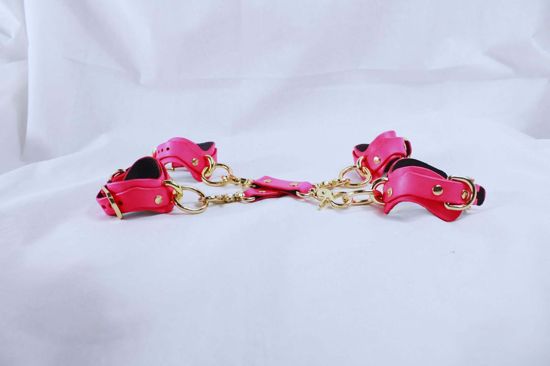 BDSM Gear Pink Leather | Premium BDSM Bondage Gear Set-2