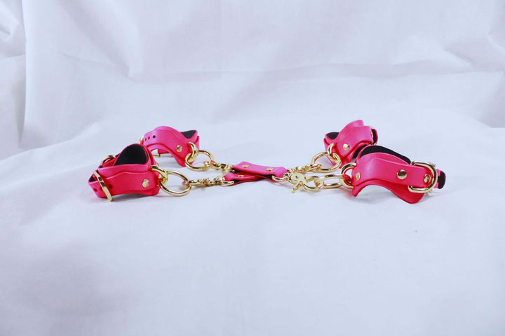 BDSM Gear Pink Leather | Premium BDSM Bondage Gear Set-2